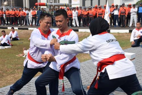 Mengenal Pencak Silat Merpati Putih