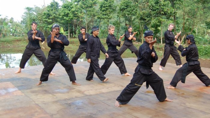 Mengenal Pencak Silat Bintang Suci